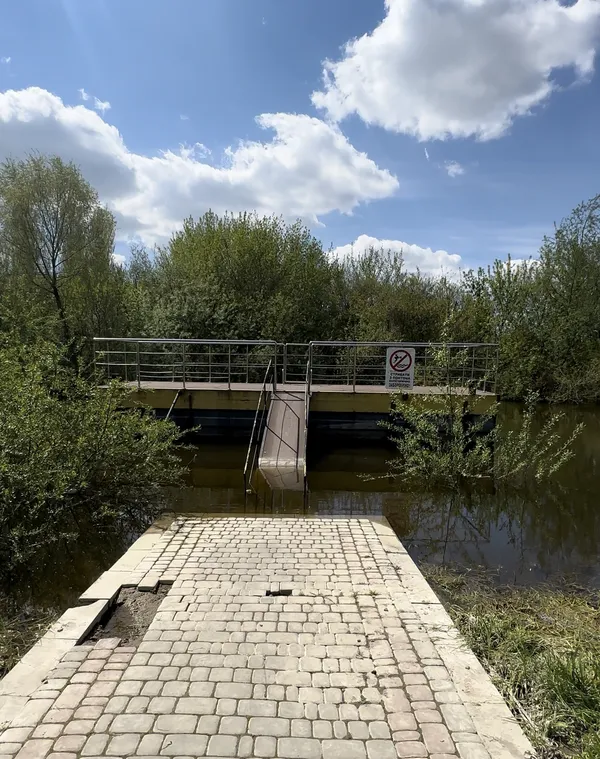 Сонце і котики: весна у будинку Голованя (фото)