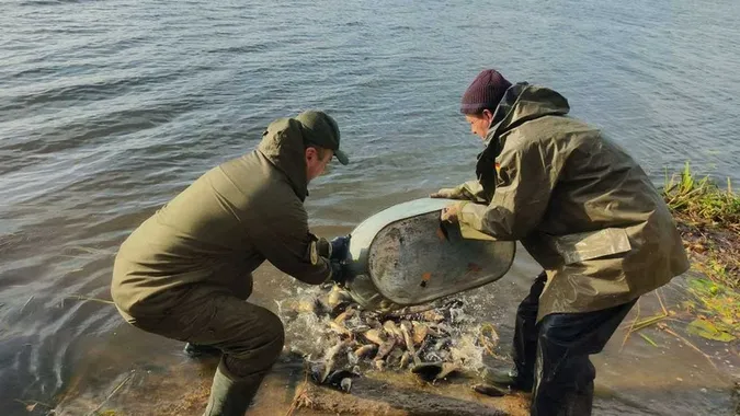 У Ковелі водосховище «заселили» рибами-прибиральниками (фото)