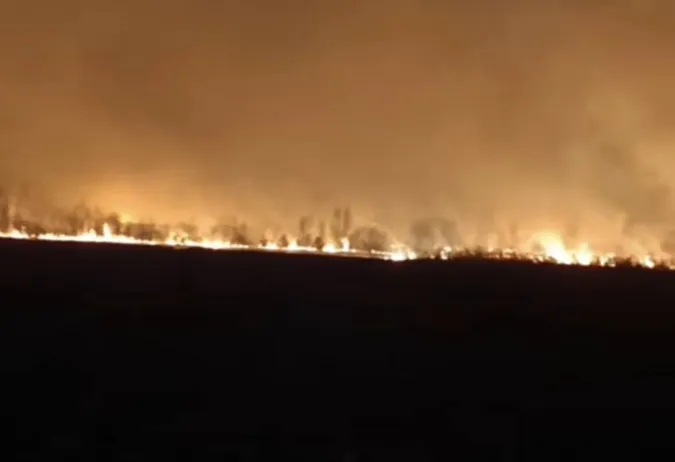 Палало кладовище: на Волині вирують жахливі пожежі (фото)