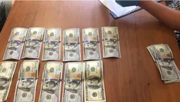 Волинянин за 1500 доларів хотів "порішати" зі слідчим справу про порубку лісу (фото)