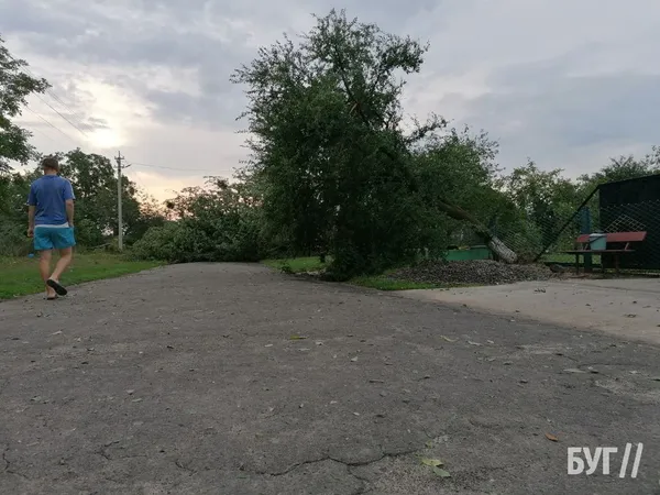 Зірвані покрівлі і повалені дерева: на Волині вирувала негода (фото)