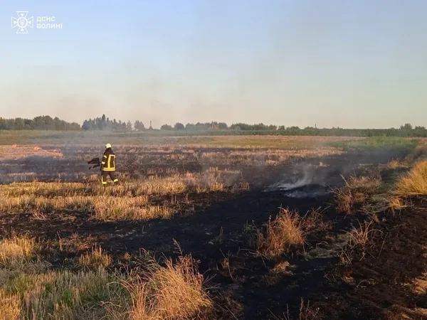 Горить стерня: Волинь потерпає від польових пожеж (фото)
