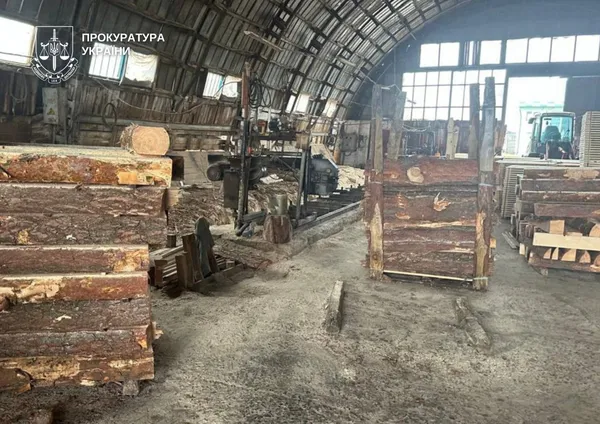 На Волині лісівники, працівник ДСНС та підприємці накрали лісу на 6,4 мільйона (фото)