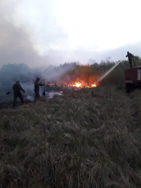 На Волині горів нацпарк (фото)