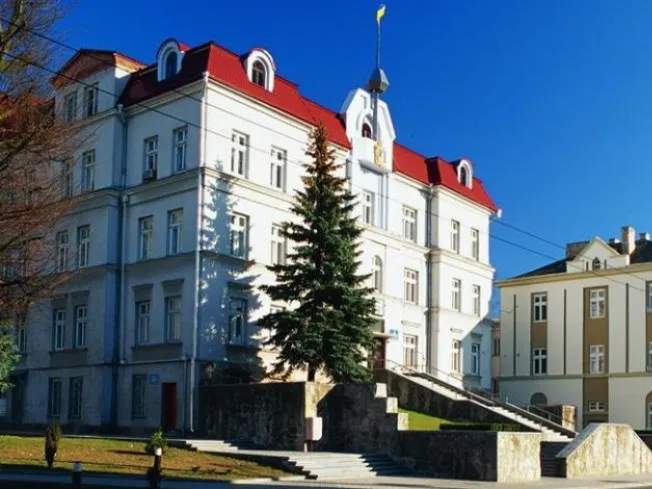 Новий досвід: депутати Луцькради вперше зібралися на онлайн-сесію