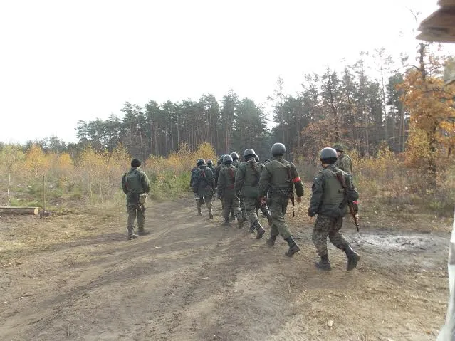 Ліси на Волині охоронятимуть від нелегальних копачів ретельніше