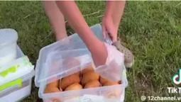 На Світязі стартував сезон пончиків: яка ціна (відео)