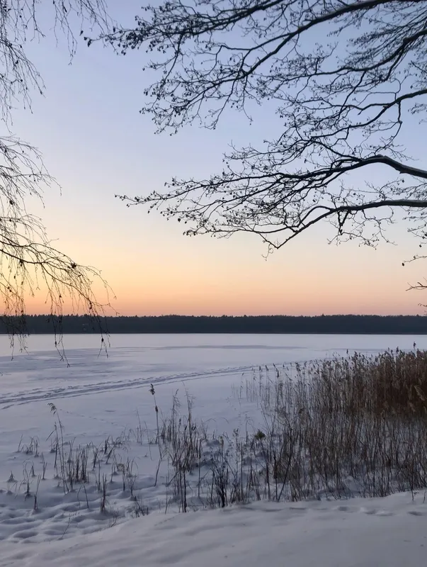 Засніжені пейзажі Шацьких озер замилували волинян (фото)