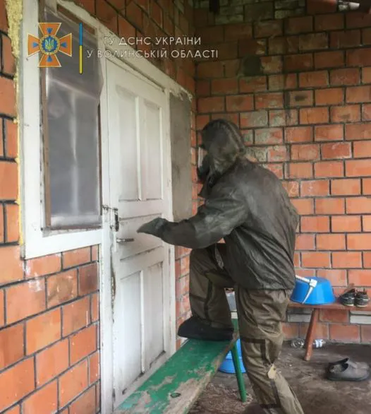 У селах на Волині знешкодили гнізда шершнів (фото)