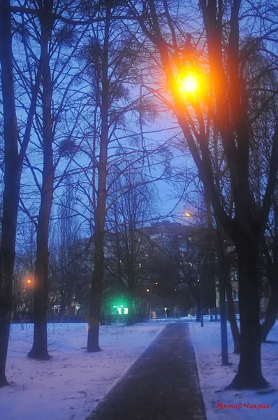 Різдвяна романтика: показали, як виглядає Луцьк у Святвечір (фото)