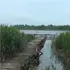 На Поліссі ховається глибоченне озеро, яке рибалки тримають у таємниці (відео)