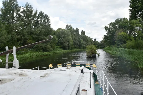 У Луцьку Стир чистять від повалених дерев (фото, відео)