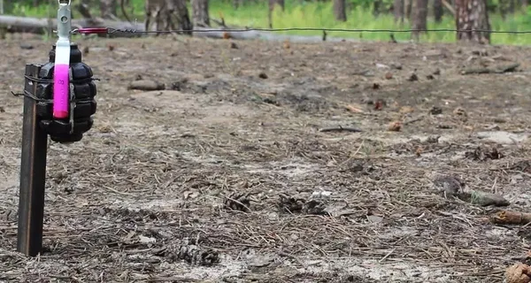 Complete demining of Ukraine will take more than 5 years
