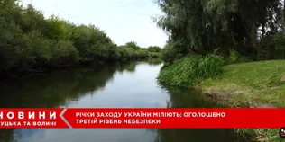 Річки можуть «пересохнути»: на заході України очікують подальше падіння води (відео)