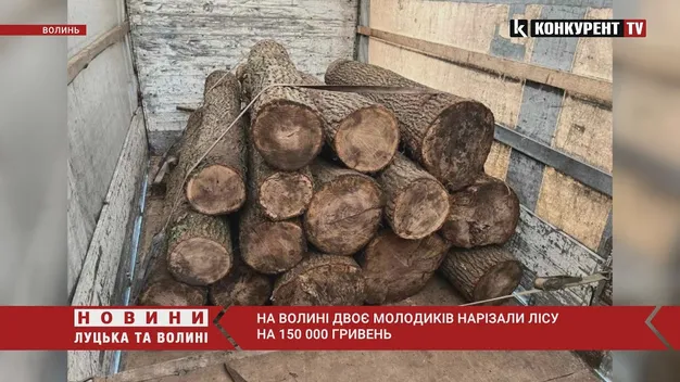 На 150 тисяч гривень: у вантажівці волинянина знайшли крадену деревину