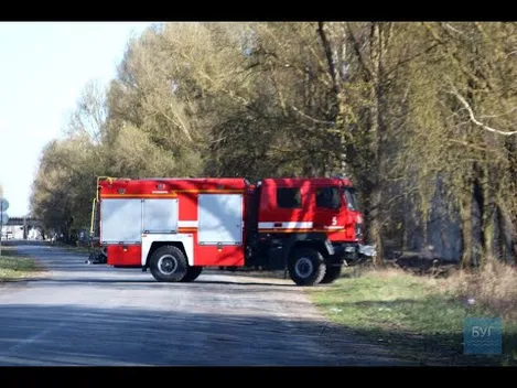 Біля Володимира загорівся ліс: ймовірно, через підпали сухої трави (відео)