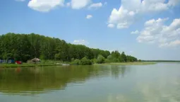 Тиха перлина: яка риба водиться у третьому за площею з Шацьких озер