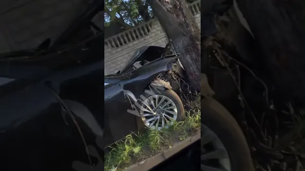 У Луцьку на вулиці Державності автівка врізалася в дерево: постраждав водій (відео)