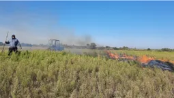 У Луцькому районі рятувальники виявили палія картоплиння (фото)