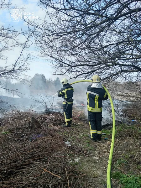 Найтриваліша пожежа на Волині: рятувальники пів доби гасили вогонь на торфовищі (фото)