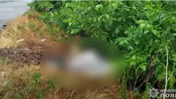 Зловили аж на Львівщині: далекобійник вбив повію, а її тіло викинув на Одещині (відео)