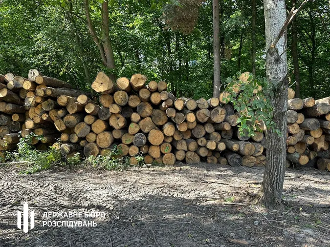 Посадовці лісової галузі Волині дозволили незаконні рубки на 21 млн грн – їх судитимуть