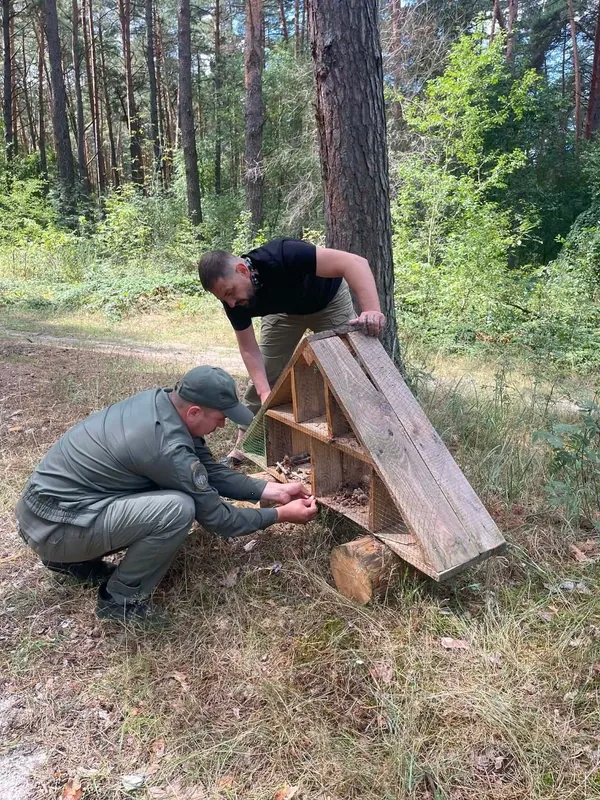 Не минуло й місяця: у «Цуманській пущі» знову пошкодили будиночок для комах (фото)