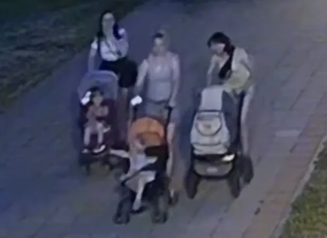Вирвали з корінням: у Луцьку три матері поцупили квіти з Центрального парку (відео)