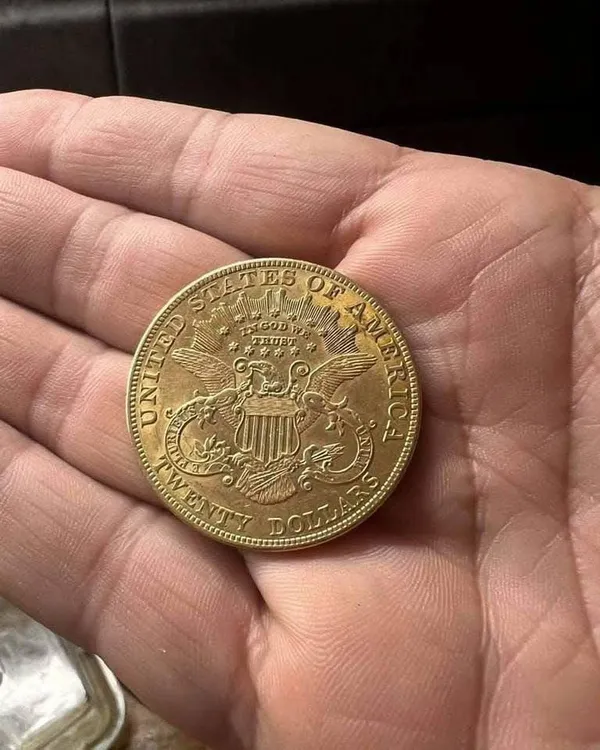 Американські долари і царські рублі: у польському лісі знайшли у бляшанці 70 золотих монет (фото)