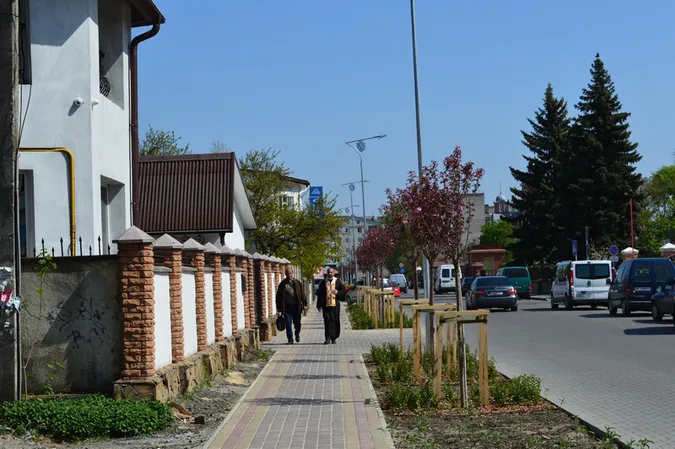 У Ковелі квітне алея сакур