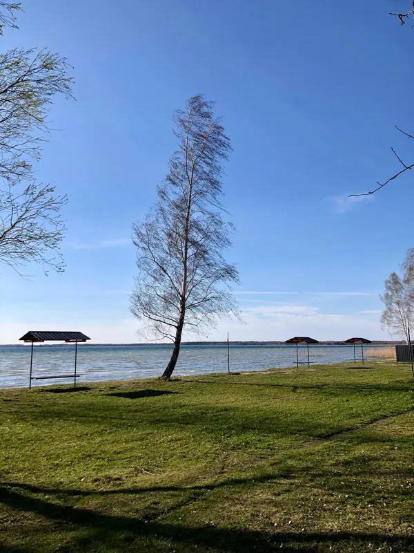 Море серед лісу: волинські морські краєвиди закохують мережу (фото)