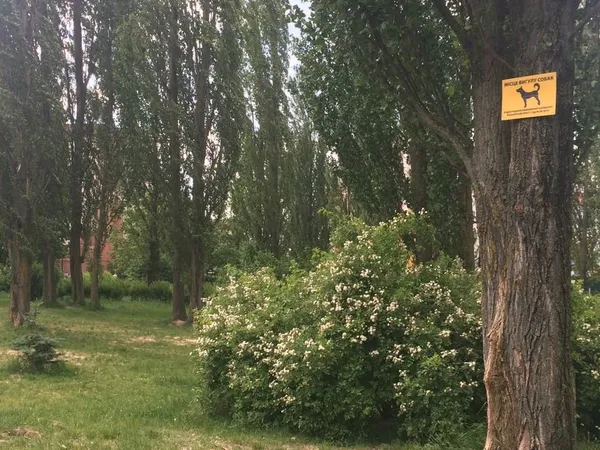 У луцькому сквері з'явилися таблички «для собак» (фото)
