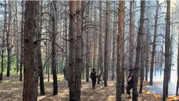 Волинські сапери працюють на Донеччині після обстрілів (фото)