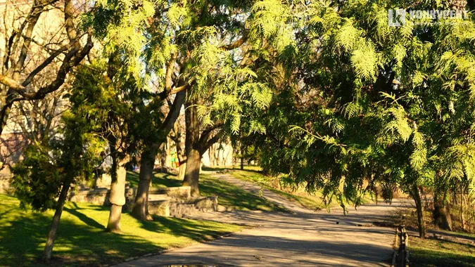 Центральний парк Луцька замилував морозно-сонячними кадрами (фото)