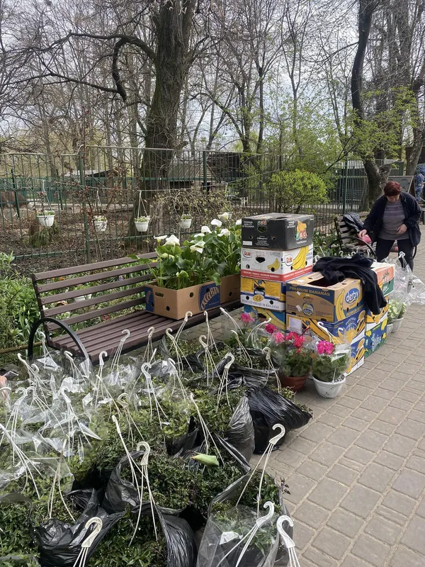 Квітучі мешканці: у Луцькому зоопарку – майже дві тисячі нових саджанців (фото)