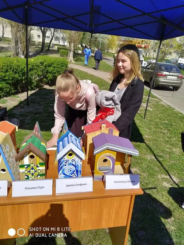 Кожній пташині по арт- хатині: у Луцьку розвісили нові шпаківні (фото)