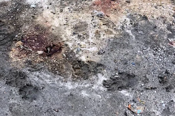 Дали 20 хвилин, щоб зібрати рештки друга: житель Бучі про пережитий терор (фото)
