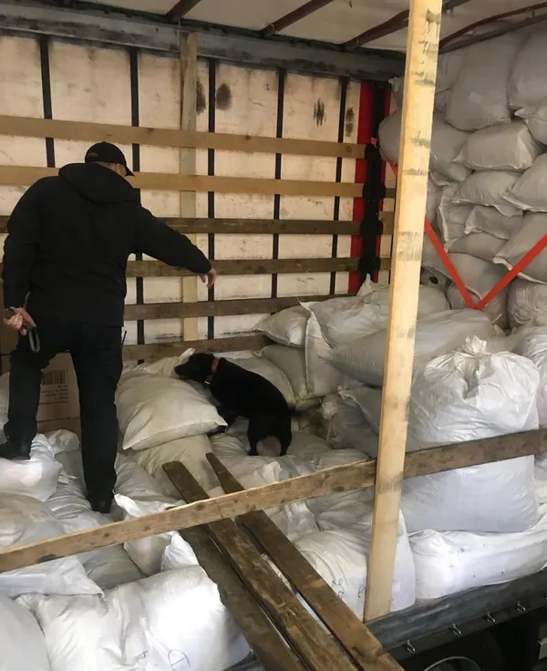 Везли як «секонд-хенд»: в «Ягодині» знайшли 4 тонни брендового одягу (фото)