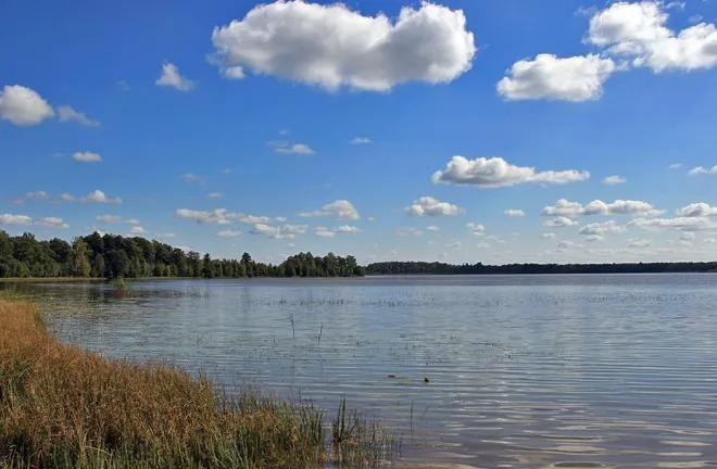 За 150 км від Луцька причаїлось незаймане озеро Шині з прозорою водою та всілякою рибою (фото)