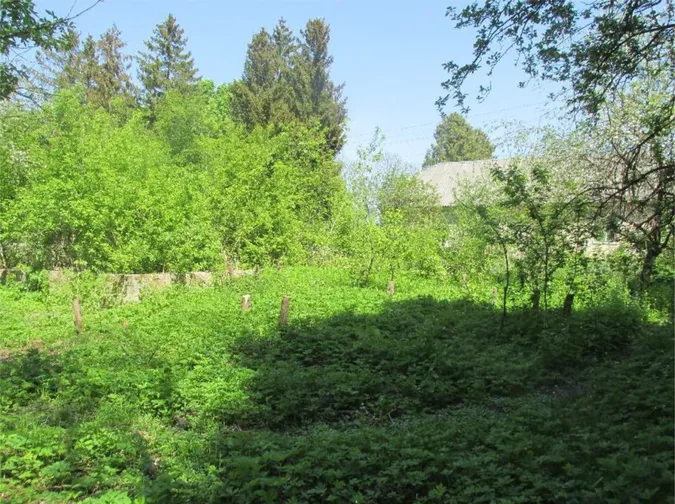 На Волині під час розкопок знайшли старовинні кахлі (фото)