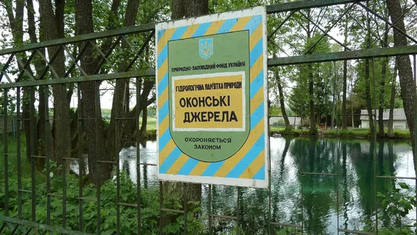 Вода била з-під печі в хаті та серед поля: чому занепали знані Оконські джерела на Волині (фото)