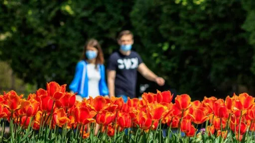 На території Ківерцівської громади послаблюють карантин