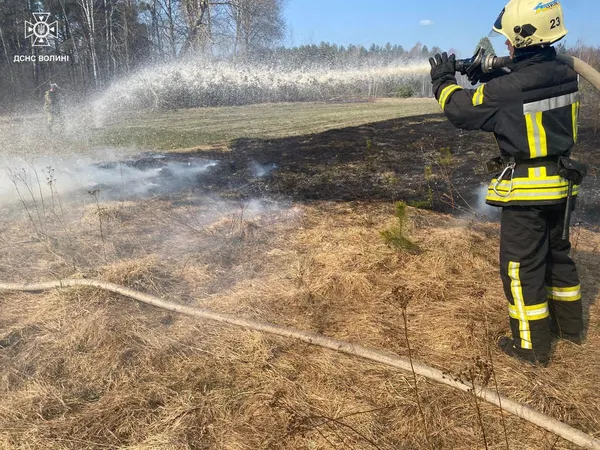 Горіли поля, очерет і торф: Волинь накрила хвиля масштабних пожеж (фото)