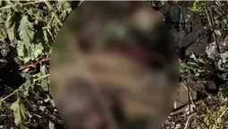 У Луцькому районі жорстоко вбили чоловіка, а труп заховали в кущі (фото)