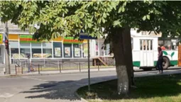 Невидимки: луцькі водії нарікають на дорожні знаки (фото, відео)