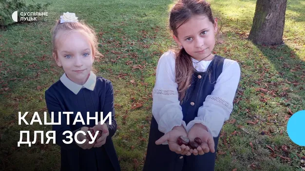 Для допомоги ЗСУ: учні луцького ліцею зібрали 700 кілограмів каштанів (відео)