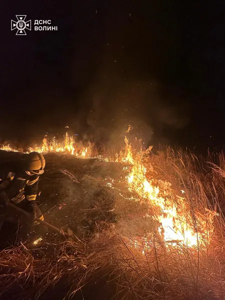 Масові пожежі на Волині: вигоріли понад 20 гектарів землі (фото)
