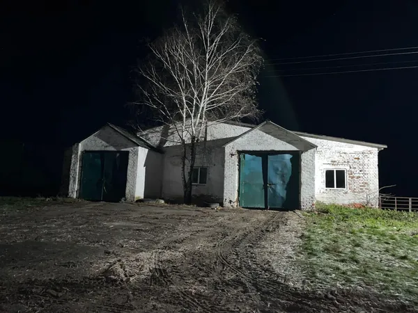 «Люблю коней»: волинський ковбой 15 км їхав на краденому скакуні