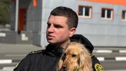 На Волині обрали пса, який шукає наркотики краще всіх