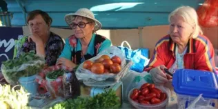 Податкова взялася за городи: кому за продаж яблук, карптоплі й огірків загрожує штраф